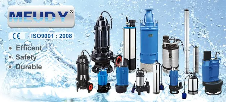 Superior Designed Submersible Slurry Pump with Agitator