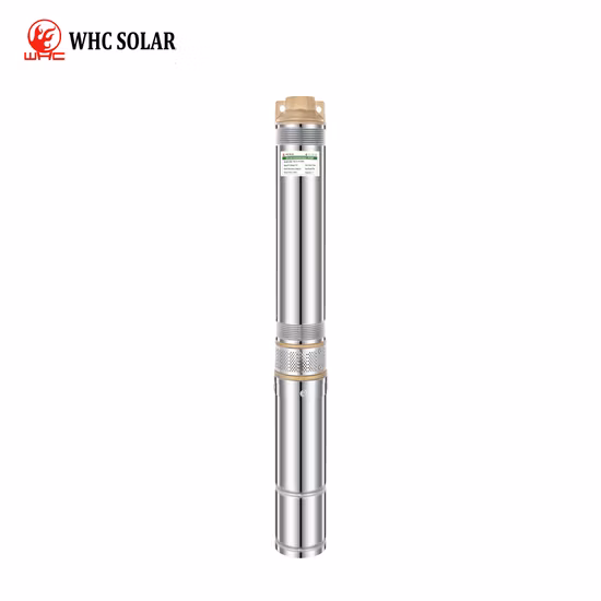 Mastra Ruirong 4-Zoll-Voll-Edelstahl-Hochdruck-Elektrobrunnenpumpen, Solar-AC-DC-Tauchbohrloch-Wasserpumpe